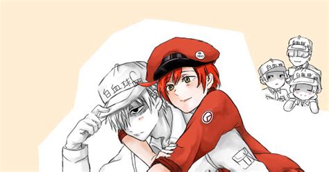 Cells At Work White Blood Cellred Blood Cell Cells At Work 白赤