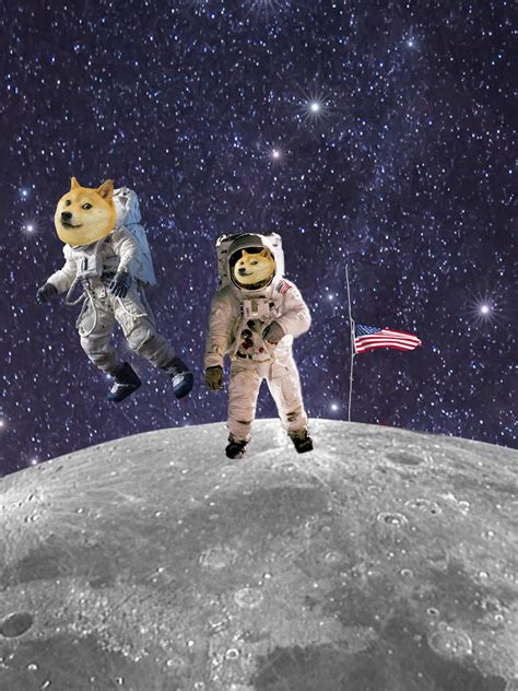 Doge In Space Rdogecoin
