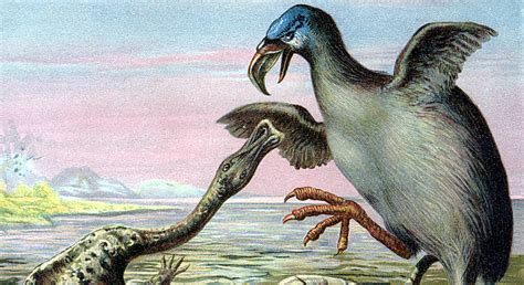 7 Extinct Birds That Were Extremely Metal