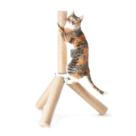 Commonly available materials include carpet, sisal/rope and cardboard. NEW 4CLAWS Jute Tripod Scratching Post 30' >>> You can ...