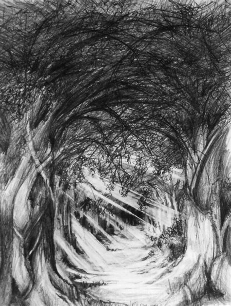 Pencil Drawing The Woods A Photo On Flickriver