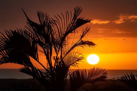 Big Island Sunset Stock Photo Image Of Seascape Hawaii 169446780