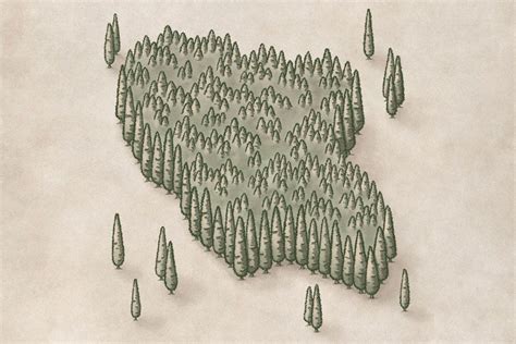 A Drawing Of Trees In The Shape Of A Map