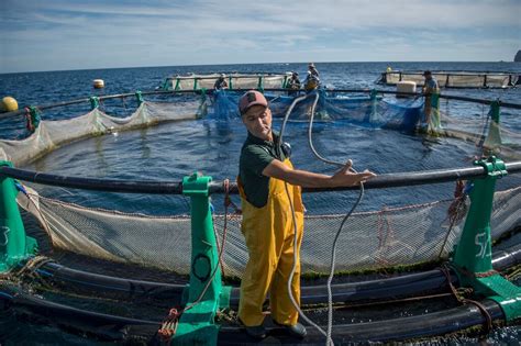 Aquaculture Offers Lifeline To Floundering Moroccan Fishermen