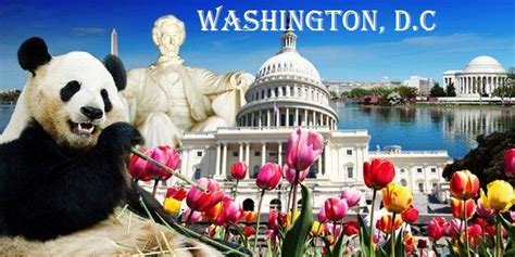 20 Interesting Facts About Washington Dc Ohfact