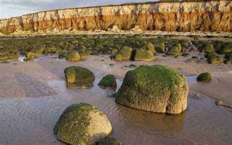 Hd Green Stones In Norfolk Engl Seacoast Wallpaper Download Free 61146