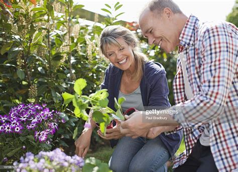 Couple Senior Jardinage Dans Le Jardin Photo Getty Images