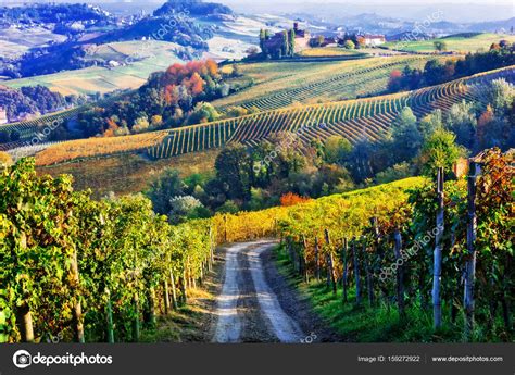 Wijngaarden en kastelen van Piemonte in herfst kleuren Noord Italië Redactionele stockfoto