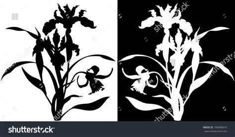 Vector Silhouette Of The Iris Flower On A White Background And Invert