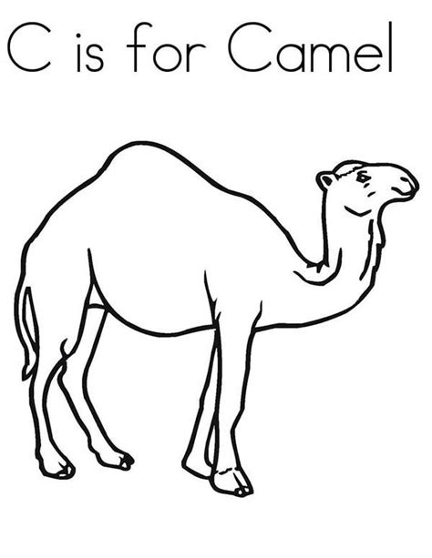 Camel coloring page to download and print. Camel coloring pages to download and print for free