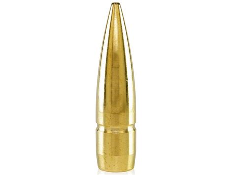 Lehigh Defense Match Solid Bullets 50 Cal 510 Diameter 650 Grain