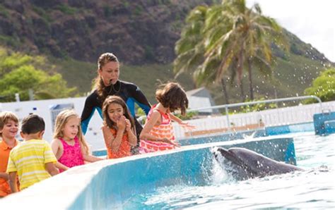 Dolphin Aloha And Sea Life Park 808 442 6459
