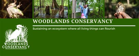 Woodlands Conservancy Creating A Legacy For Future Generations