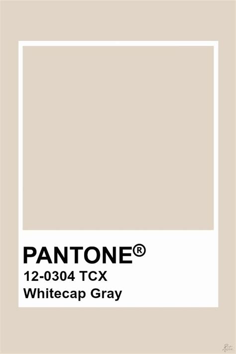 Pantone Whitecap Gray Pantone Color Pantone Colour Palettes Pantone
