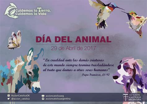Acción Católica Argentina » Día del Animal | “Te alabamos, Padre, con