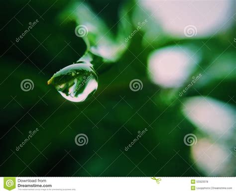 Drop Water Stock Photo Image Of Zoom Moisture Closeup