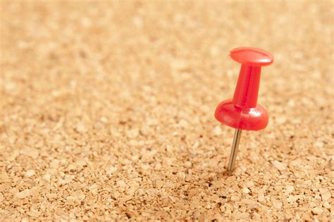 Free Image Of Close Up Red Pin On Brown Cork Board Freebie Photography