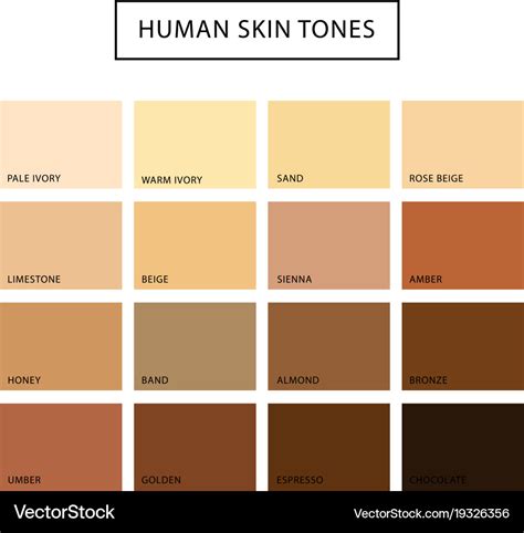26 Human Skin Tone Chart With Names Images