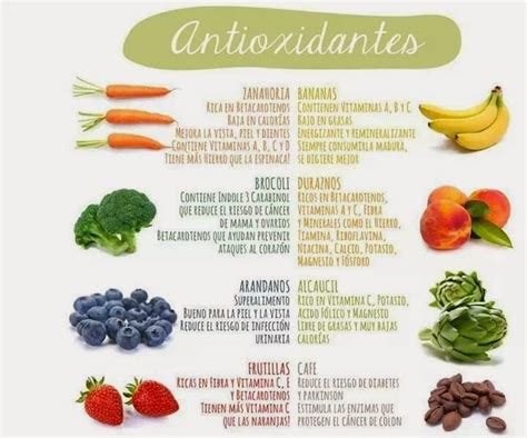 Antioxidantes Naturales Usa La Naturaleza A Tu Favor