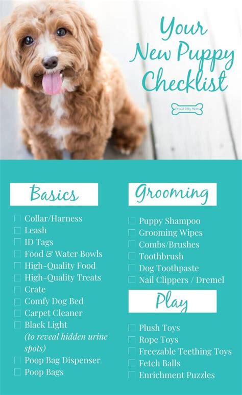New Puppy Checklist Everything You Need New Puppy Checklist Puppy