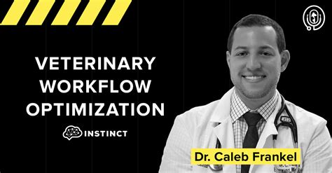 Veterinary workflow optimization and the importance of user experience