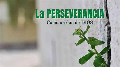 Perseverancia Un Regalo De Dios Odalis Susana