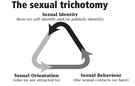 Bisexuality Sex Life Therapy