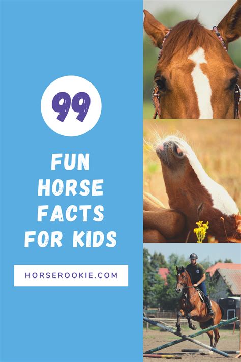 Horses Are Wonderful Beautiful And Interesting Creatures Kids And