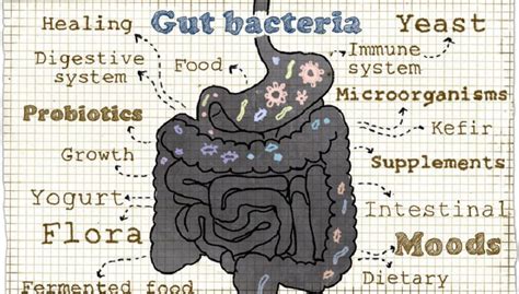 A Few Easy Ways To Improve Your Microbiome Or Gut Health