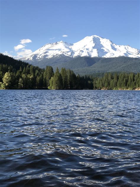 Round lake trail is a 2.9 kilometer moderately trafficked loop trail located near sagle, idaho that i took the trail right on the lake, the trapper's trail. Adventure Walks at Lake Siskiyou - Discover Siskiyou