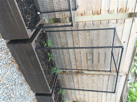 Diy Vegetable Garden Cage — My Simply Simple