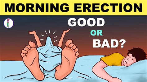 Morning Wood Morning Erections GOOD Or BAD YouTube