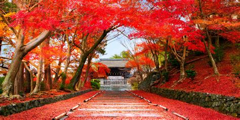 Seven Destinations To Admire The Most Beautiful Autumn