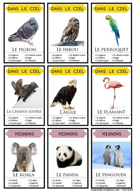 Jeu De Familles Animaux Animaux Fle Bonjour