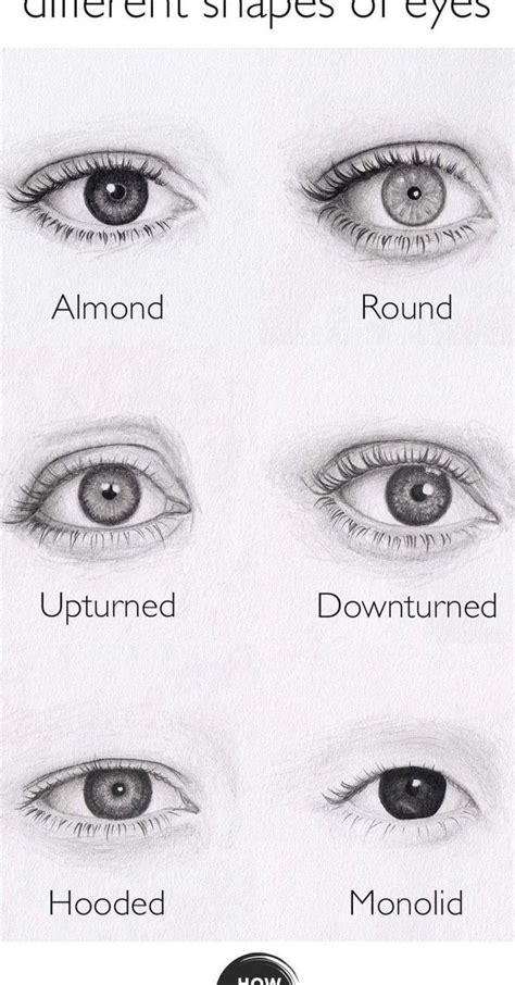 How To Draw Different Eye Shapes At How To Draw