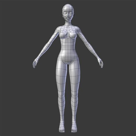 Stylized Humanoid Base Mesh Female D Model D Model Character D Model Character Modeling