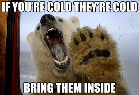 Bring Your Polar Bears Inside If Youre Cold Theyre Cold Know