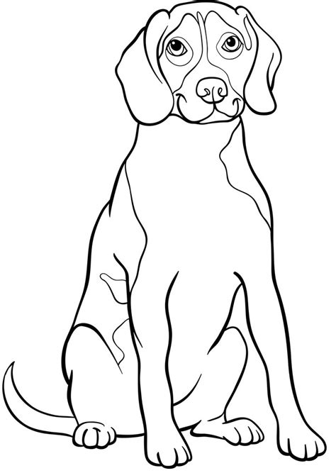Download and print these beagle coloring pages for free. Printable A Beagle Dog Standing coloring page for both ...