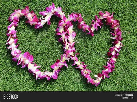 Hawaiian Lei Two Image And Photo Free Trial Bigstock