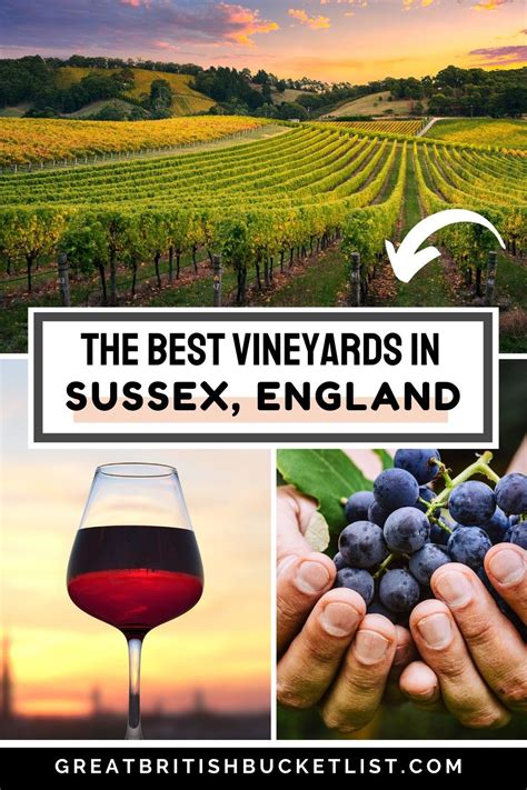 The Best Vineyards In Sussex Vineyard Tour English Wine Visiting