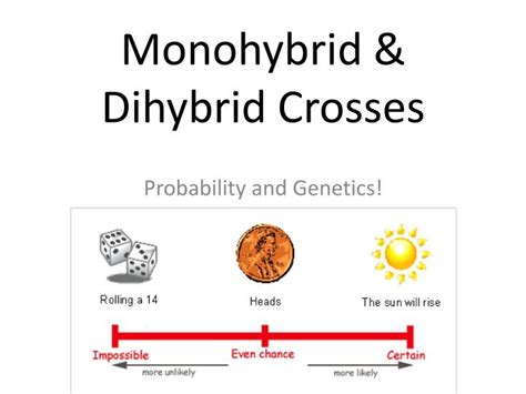 A dihybrid cross involves two traits, such as color and size. PPT - Monohybrid & Dihybrid Crosses PowerPoint ...