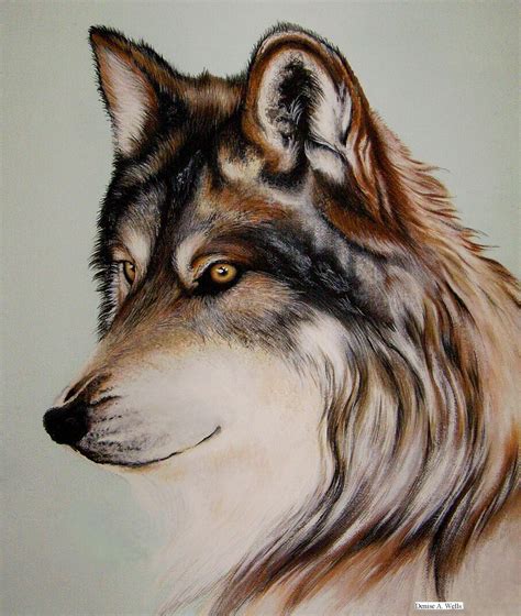 Wolf Stare Acrylic Painting Bunte Zeichnungen Zeichnungen Tiere