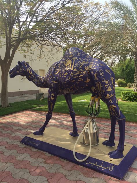 From 6 am to 7 pm, with shops closing at 11pm. Camel milk farm and factory - Another Dubai