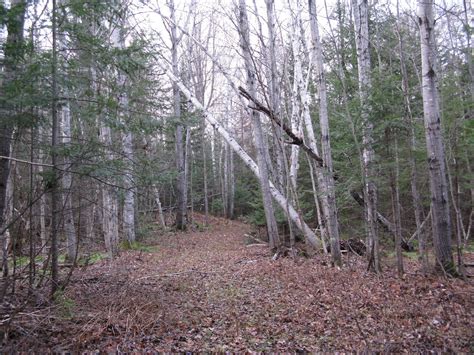 Newberry, Luce County, MI Undeveloped Land, Lakefront Property