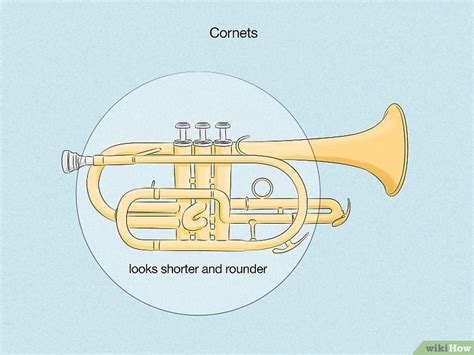 Cornet Vs Trumpet Design Mouthpieces Tone And More