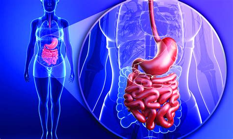 Sibo Symptoms Causes And Cary Gastroenterology Associates