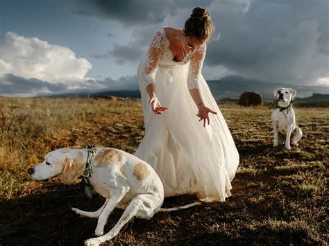 Wedding photography that won't make you throw up (yes, that is literally written on. Australian photographers in International Wedding Photographer of the Year 2019 | NT News