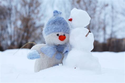 Snow Day Activities For Outdoor Fun Feis Top 10 Picks