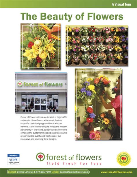 Forest Of Flowers Same Day Flower Delivery In London On London On