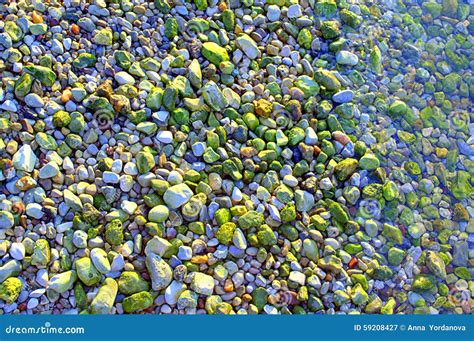 Colorful Beach Pebbles Stock Image Image Of Natural 59208427